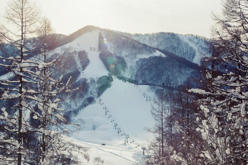 Snowball Chalet At Madarao Mountain Iiyama Exterior photo